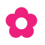 Shape
